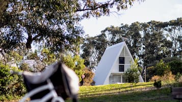 A bicycle leaning against a tree in a grassy area with a modern house in the background.