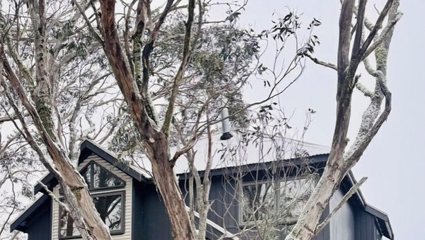 A modern two-story house with a stone wall entrance and a tree in front. - Blue Ice Chalet (Dinner Plain)