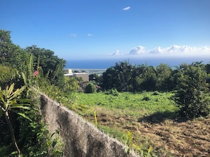 A coastal landscape with a view of the ocean, dense greenery, and a stone wall. - Beaumont Sainte Marie family home (Sainte-Marie)