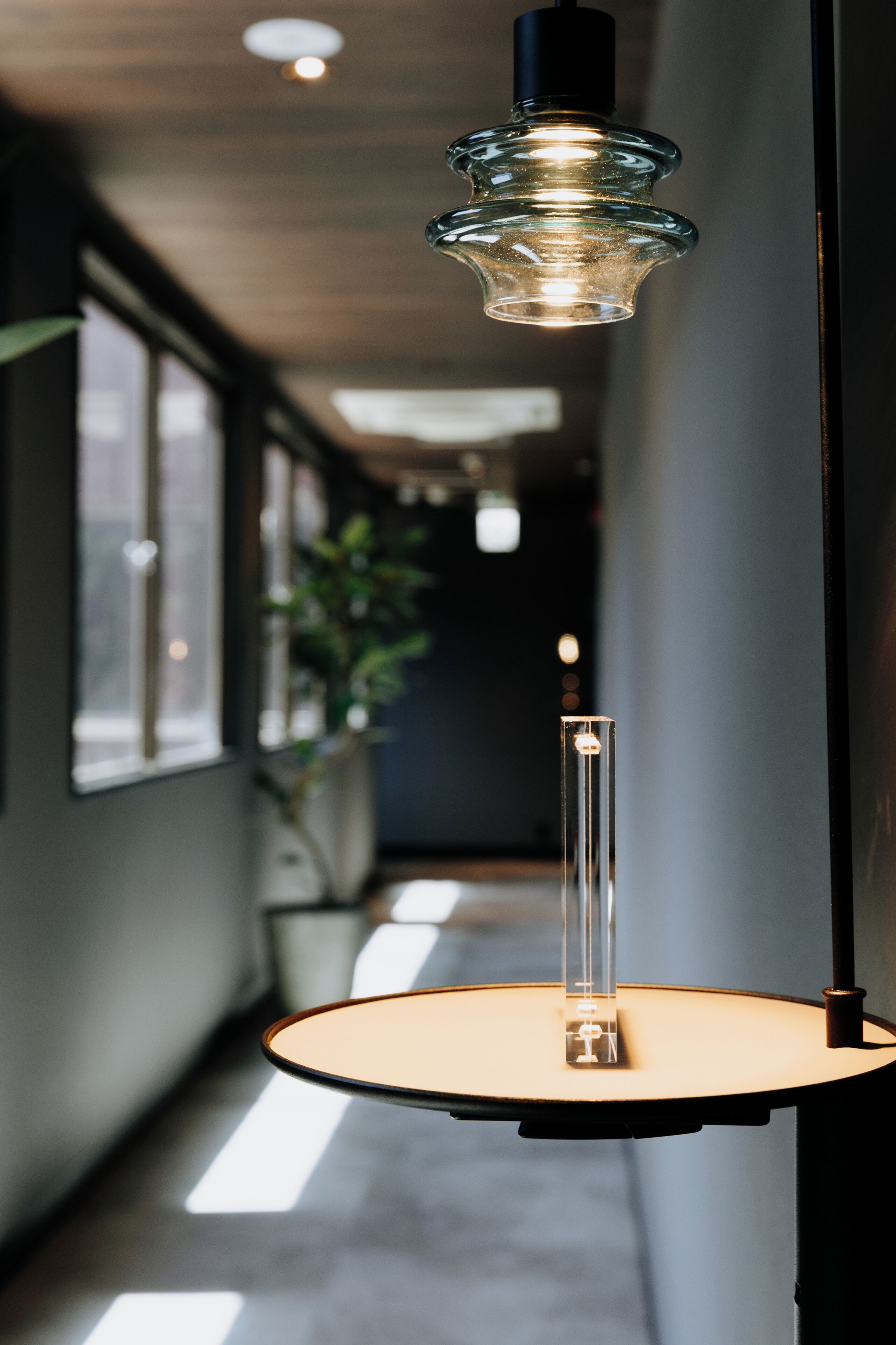 Een gang met een hanglamp, een potplant en uitzicht door een raam.