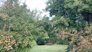 A garden with fruit trees and a well-maintained lawn.