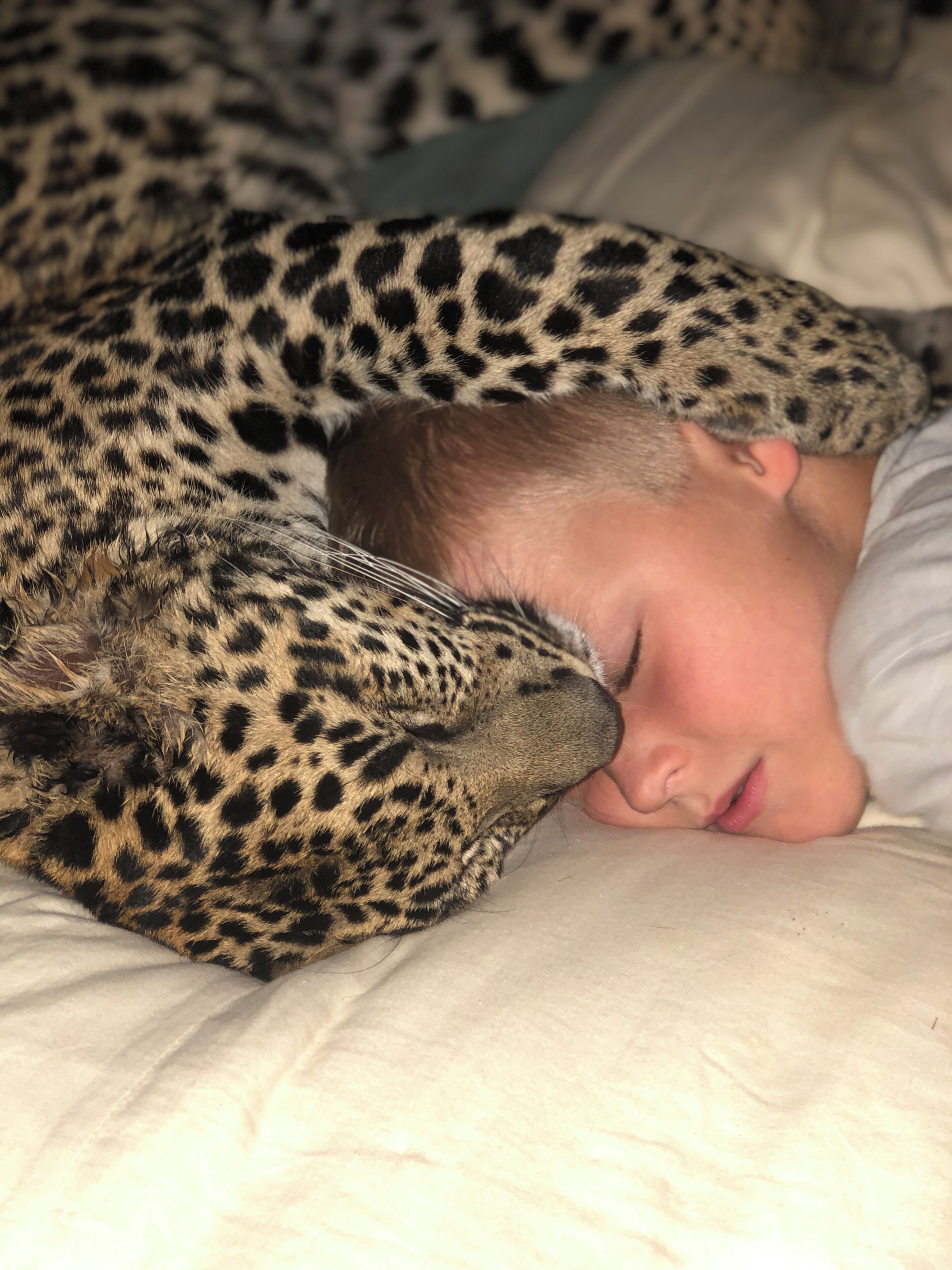 Una persona acostada en una cama con la cabeza de un leopardo apoyada en su hombro.