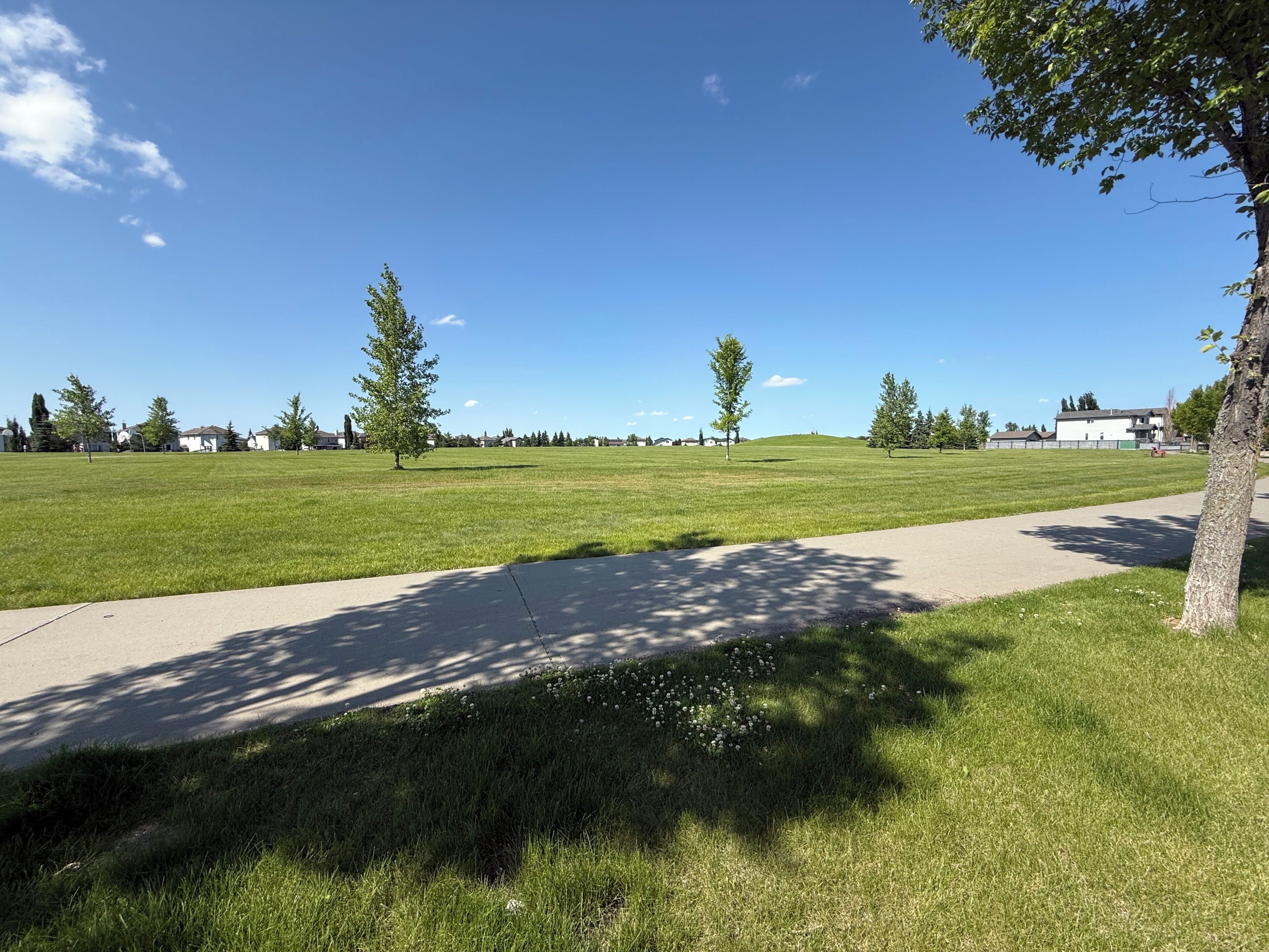 A grassy field with a concrete path, trees, and houses in the background.