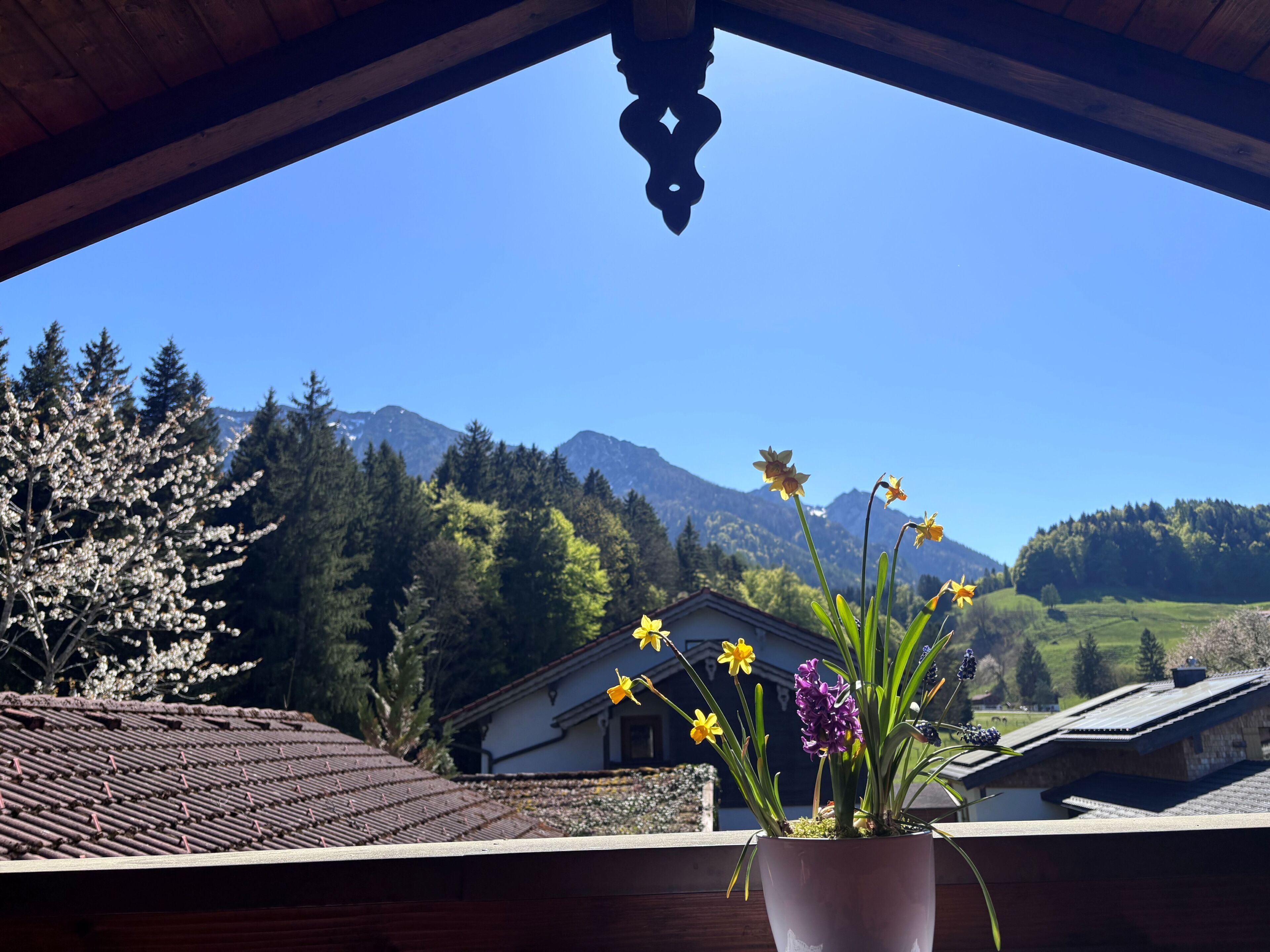 View from property