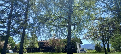 Vacation apartment type F/Traunstein