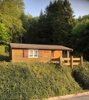 Une cabane en bois dotée d’un porche, entourée d’une végétation luxuriante et d’arbres.