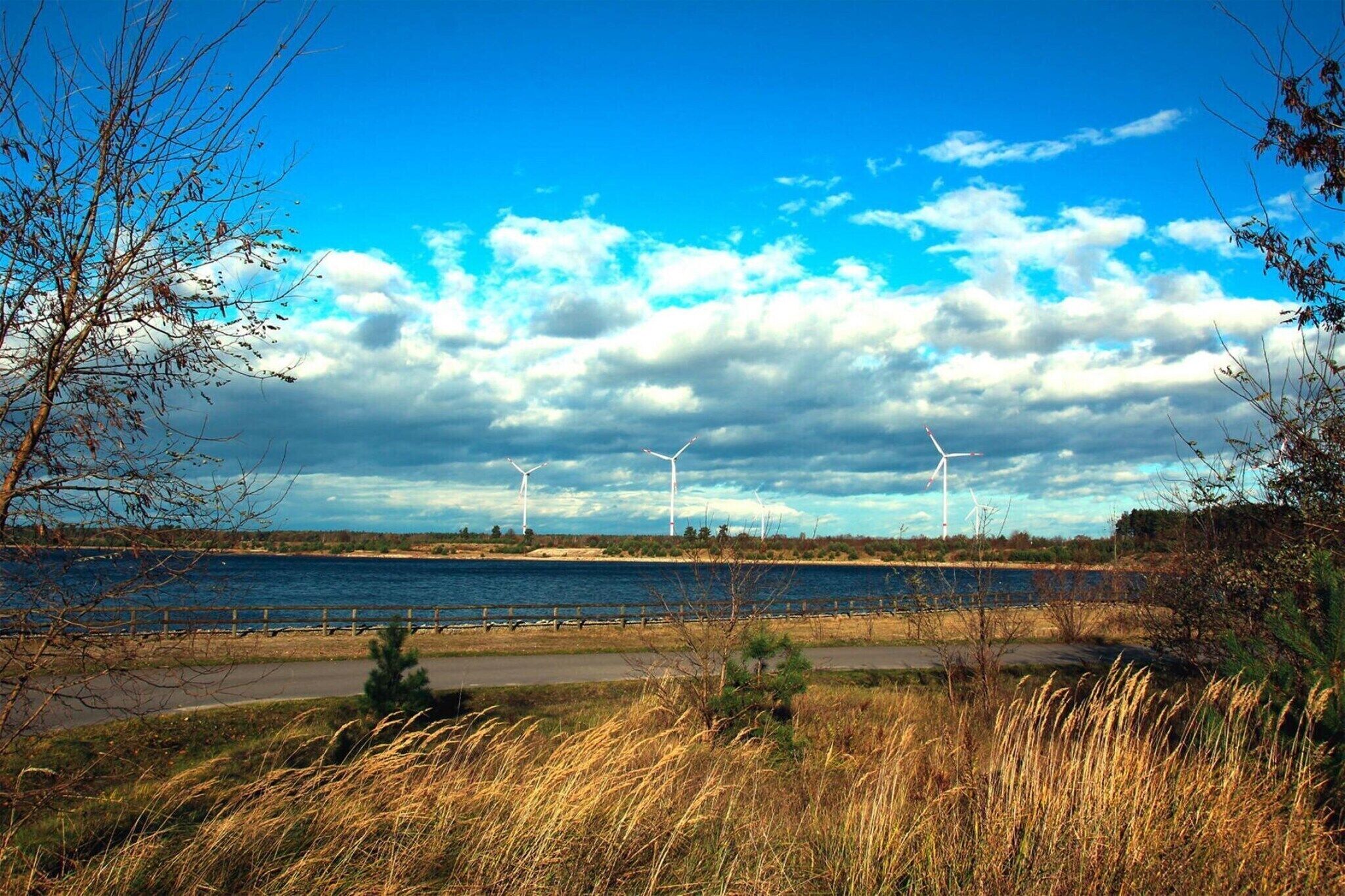 A coastal landscape with wind turbines, a body of water, and a road.