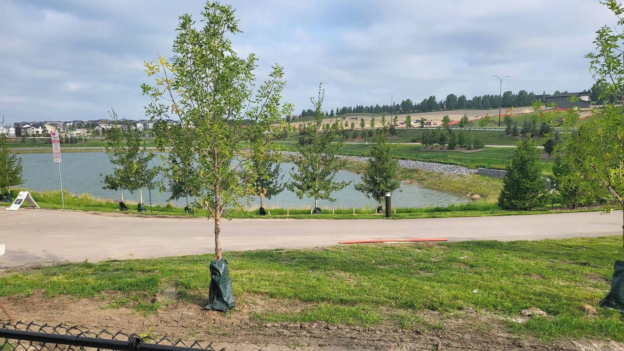 A park with a lake, trees, and a paved path.