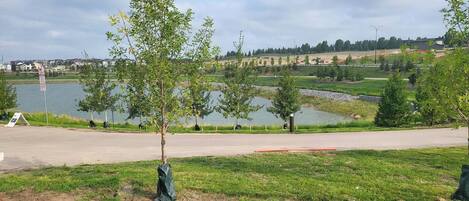A park with a lake, trees, and a paved path.