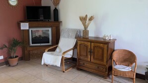 Ein Wohnzimmer mit Fernseher, Kamin, Sessel, Schrank und einer Topfpflanze.