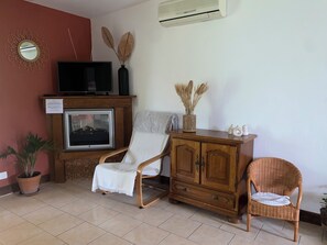 Un salon avec un téléviseur, une cheminée, un fauteuil, un meuble et une plante en pot.