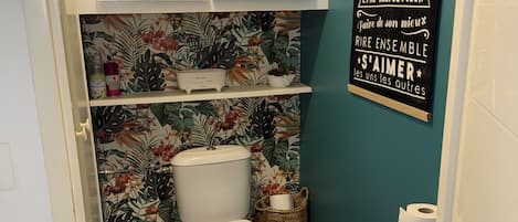 Shower, hair dryer, towels, toilet paper