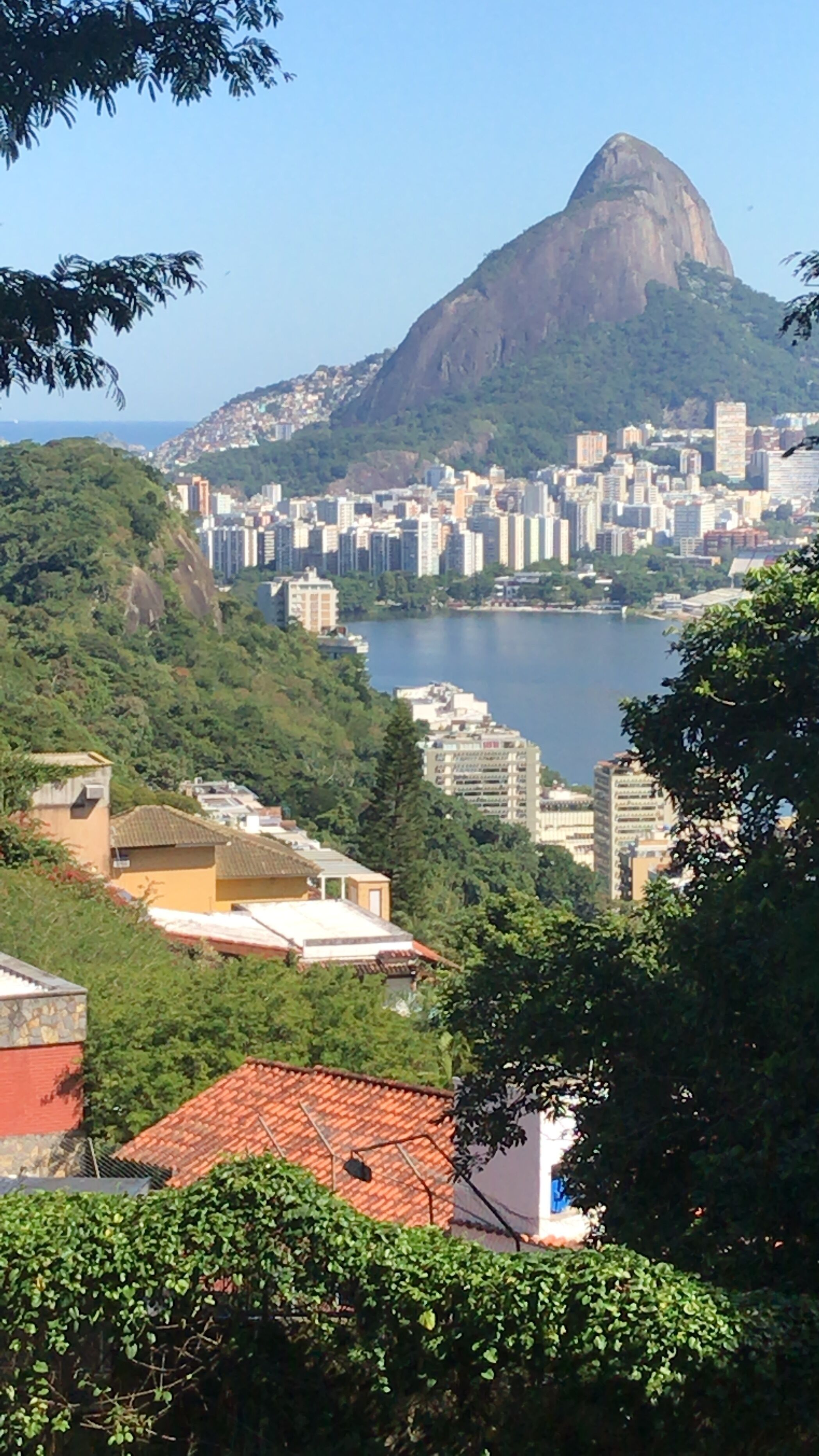 Un paisaje urbano con una montaña destacada al fondo, una masa de agua y abundante vegetación.