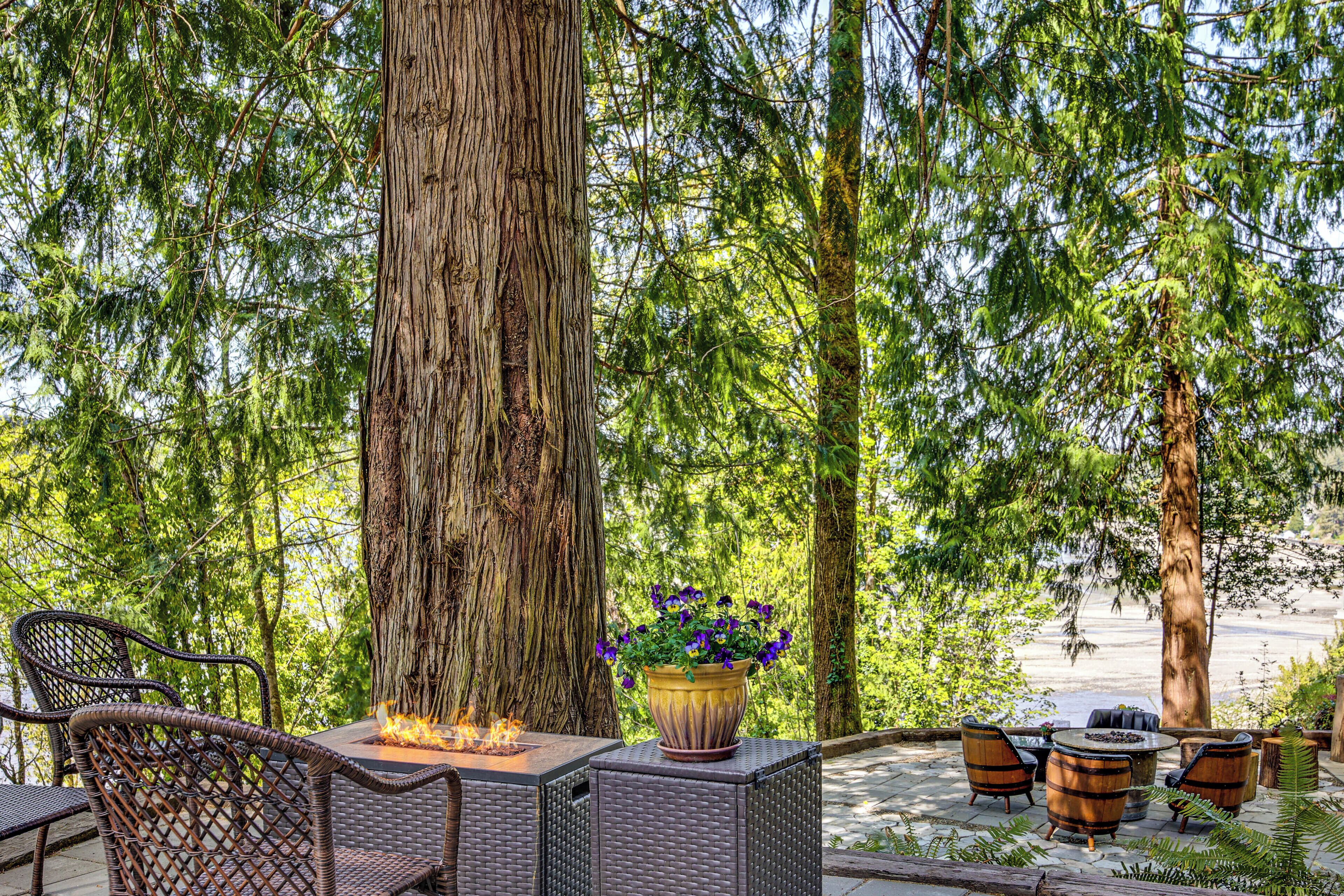 Terassi/patio