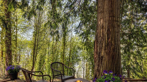 A patio with wicker furniture, a fire feature, and potted plants. - Beach Access Historic Cabin on Henderson Bay! (Gig Harbor)
