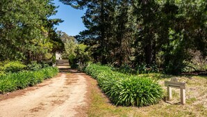 A dirt path leading to a building labeled 'SPA RECEPTION & LODGE' surrounded by dense greenery.