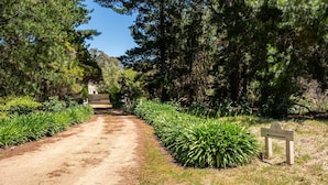 A dirt path leading to a building labeled 'SPA RECEPTION & LODGE' surrounded by dense greenery.