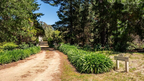 A dirt path leading to a building labeled 'SPA RECEPTION & LODGE' surrounded by dense greenery.