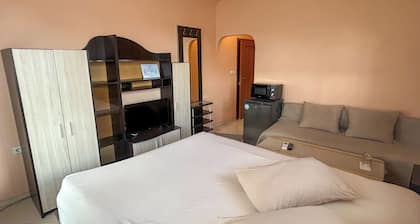 Large Double Room in Hotel Darling Bankya