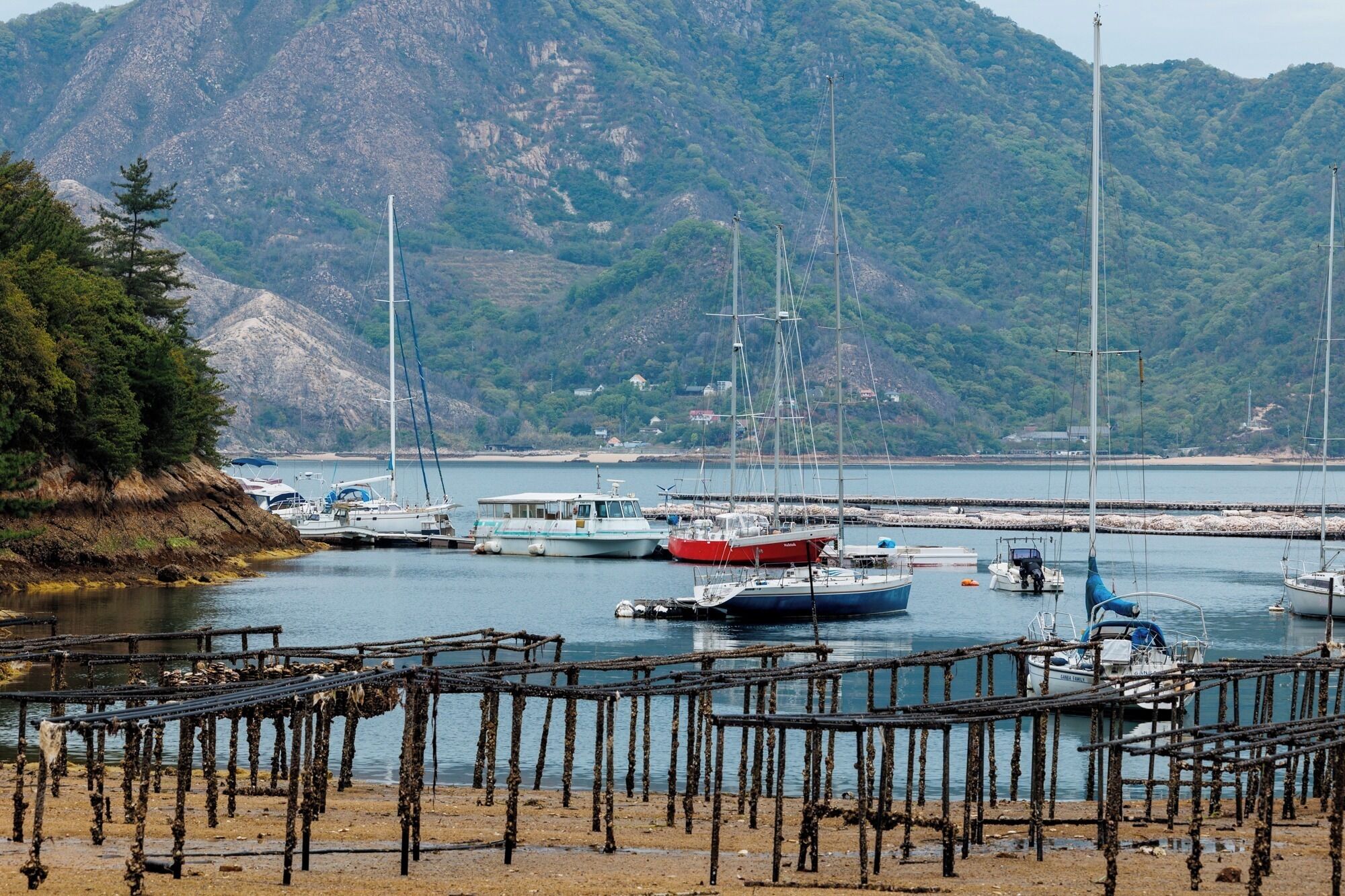 Marina