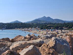Una playa rocosa con una montaña al fondo.