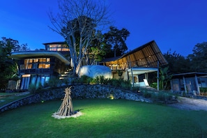 Une maison moderne avec un mur en pierre, un grand arbre et une pelouse bien entretenue.