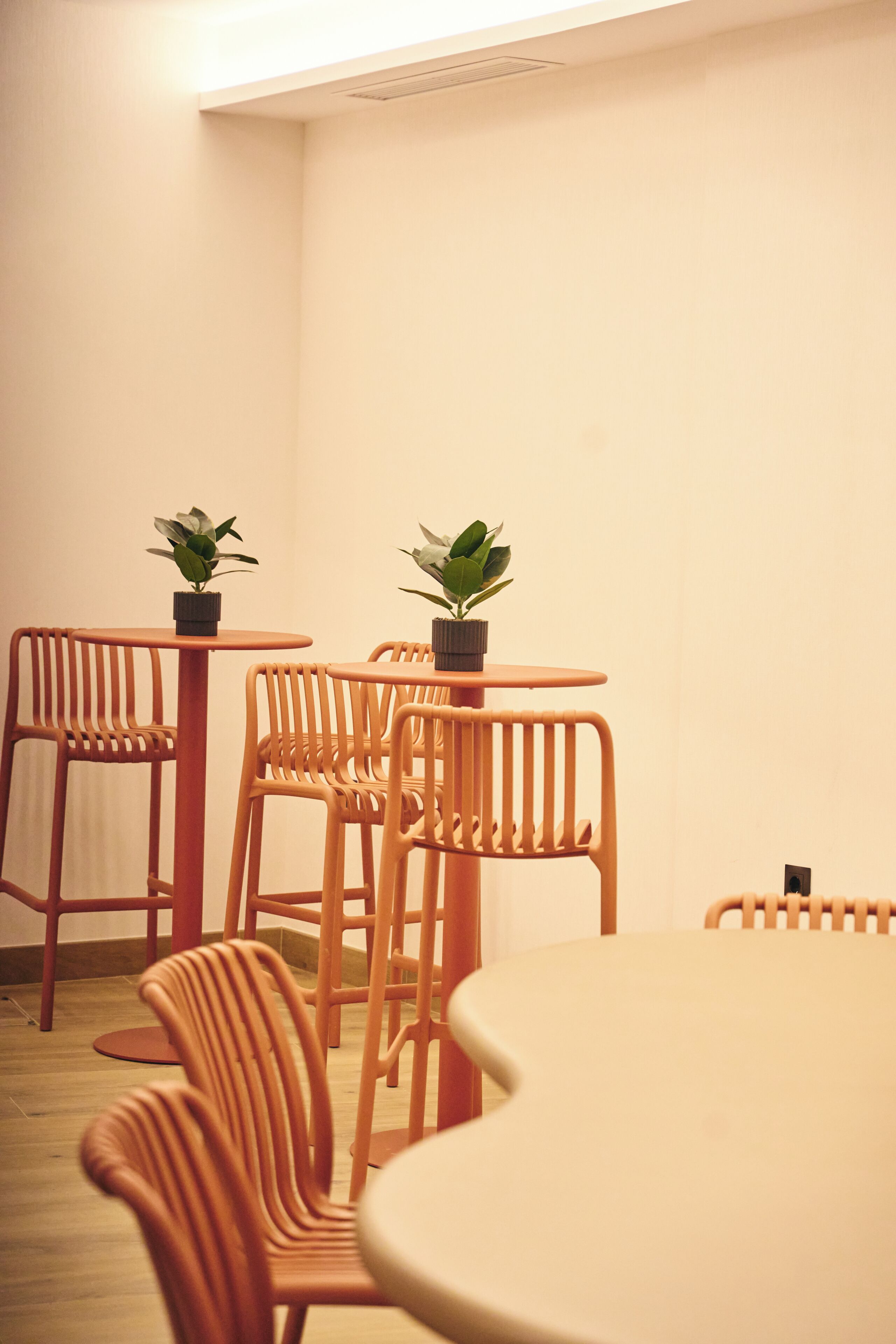 Una habitación con una mesa redonda, cuatro sillas y dos plantas en macetas sobre la mesa.