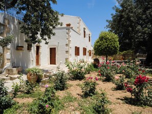 Ein weißes Gebäude mit einer Steinstufe, umgeben von einem Garten mit verschiedenen Pflanzen und Blumen.