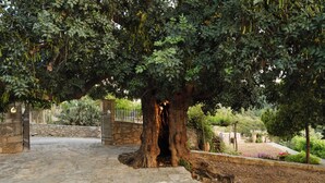 A stone-paved courtyard with a large tree in the center, surrounded by stone walls and a metal gate. - Nature’s Peaceful Villa: Pool,BBQ, Fragrant Garden (Rethymno)