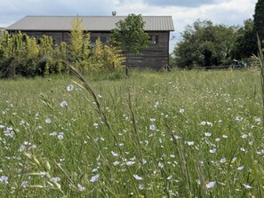 Property grounds - Eco-friendly house, surrounded by nature, Martel. Great for disconnecting! (Martel)