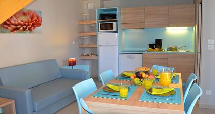 Stunning Holiday Home for 6 in Marseillan