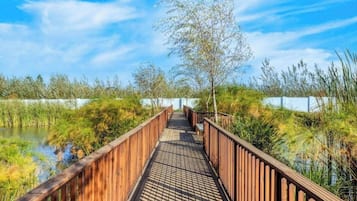 Apartment, 1 Bedroom, Smoking, Balcony | Property grounds