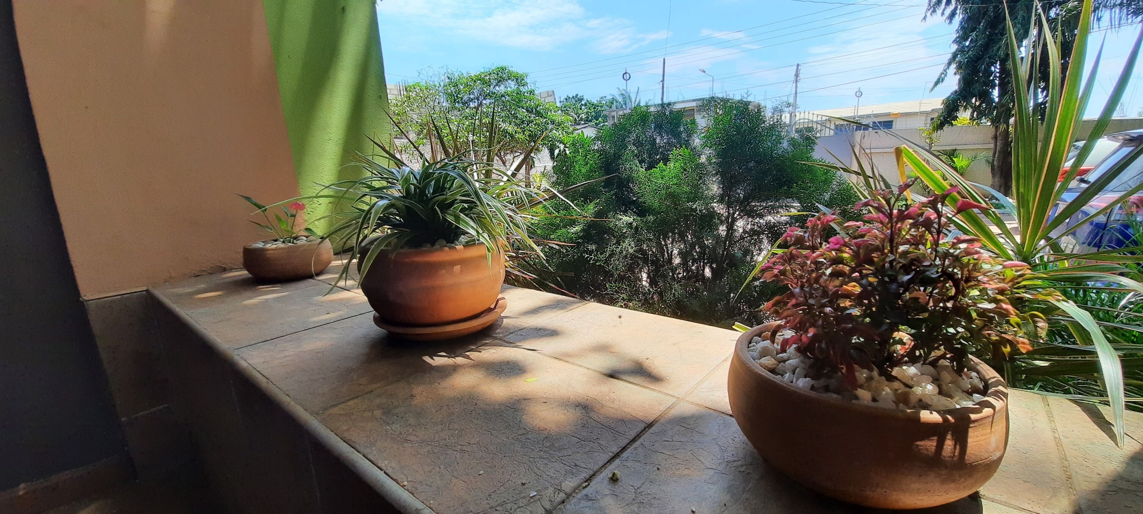 Jardines del alojamiento