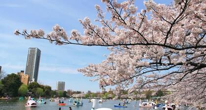 5 minutes walk from Asakusa Sta.