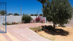 Una entrada pavimentada con una reja azul, un pequeño árbol y plantas florecientes.