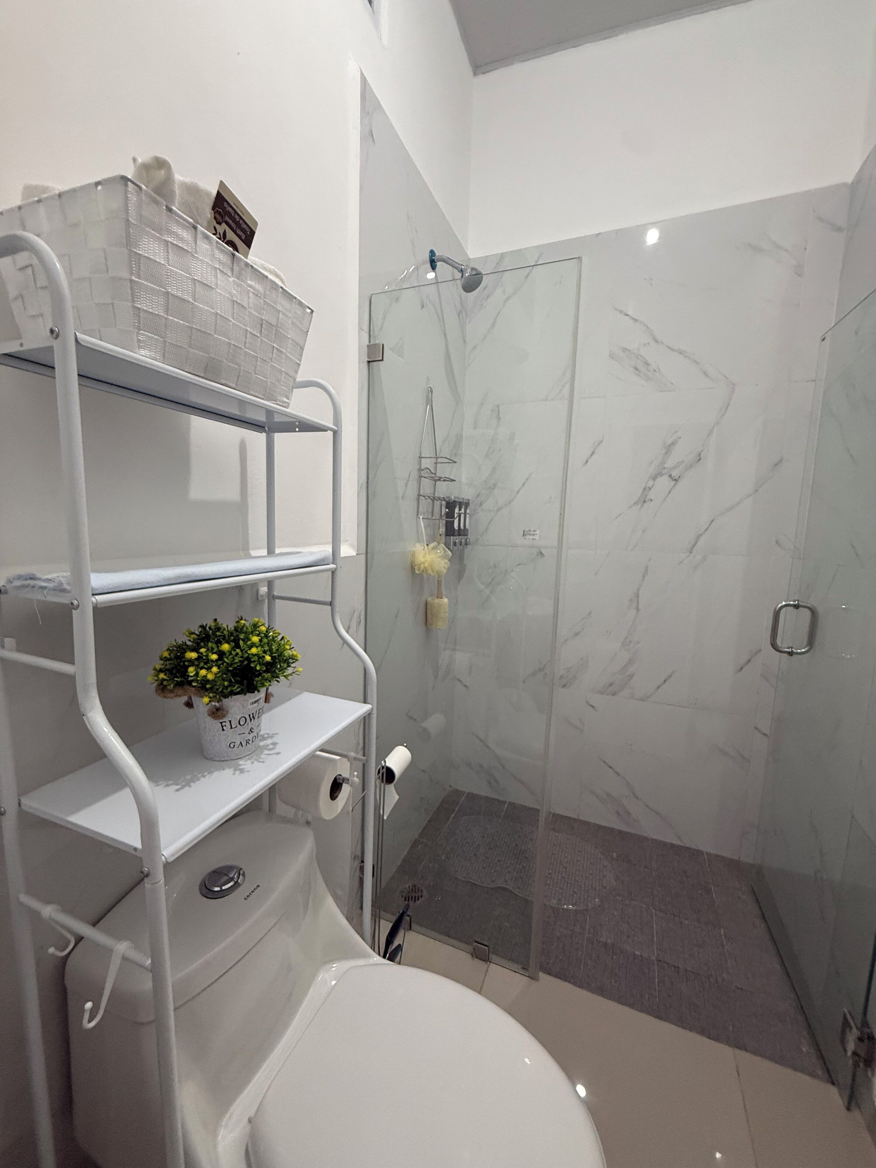 Et badeværelse med toilet, bruser med glasdør og en hylde med en potteplante.