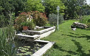 Un jardin avec un bassin, des bordures en pierre et un lampadaire.
