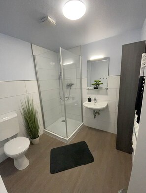 Hair dryer, towels - Fewos4seasons vacation apartment 2 (Oberwiesenthal)