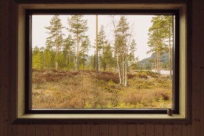 A window with a view of a forested area with tall trees and a mountain in the background.