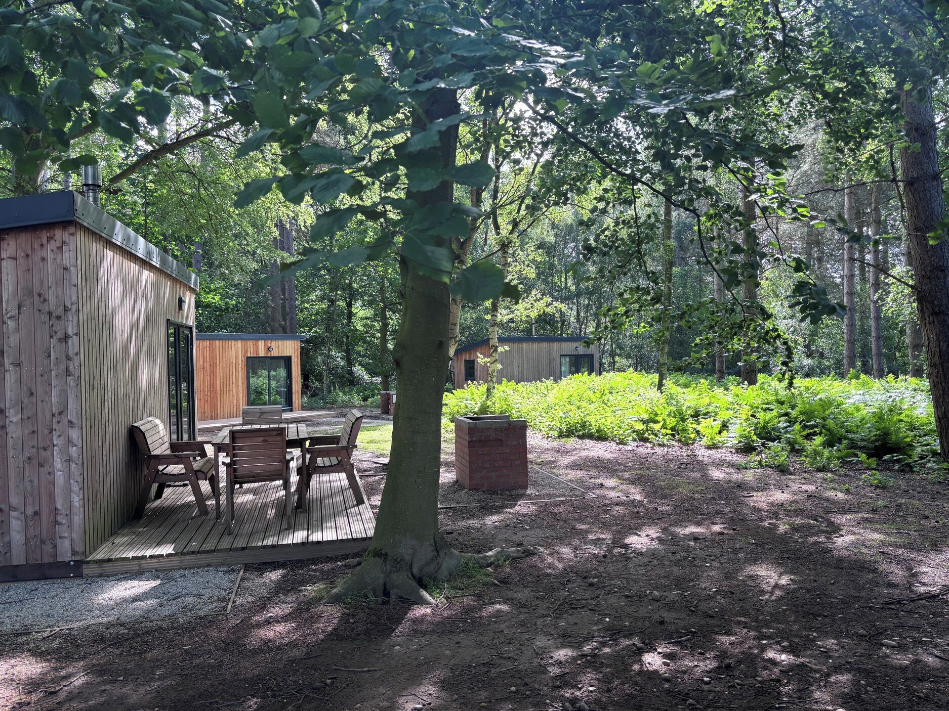 A wooden cabin with a deck, surrounded by dense forest.