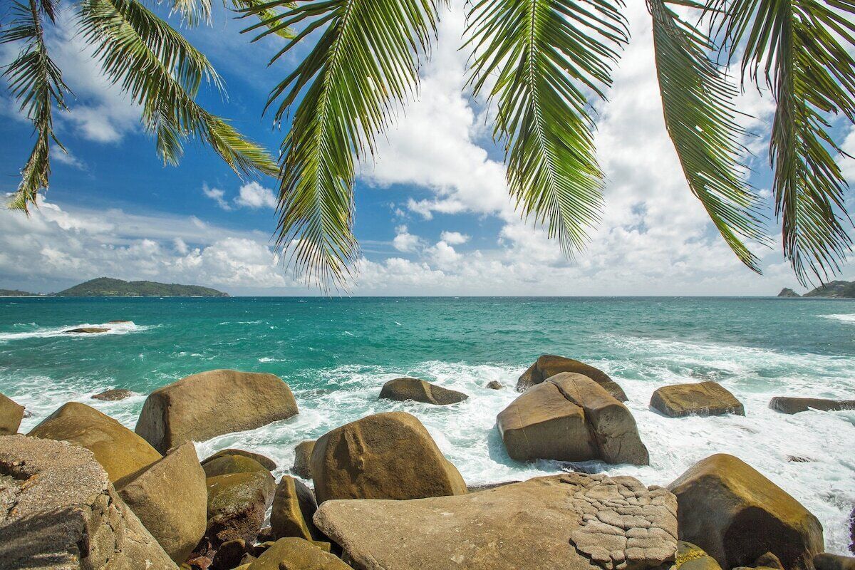 A beach with large rocks, clear turquoise water, and palm tree branches framing the view.