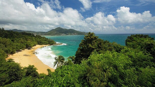 Ein tropischer Strand mit üppiger Vegetation, einem Sandstrand und einem Berg in der Ferne.