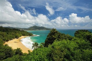 Ein tropischer Strand mit üppiger Vegetation, einem Sandstrand und einem Berg in der Ferne.
