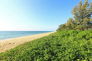 Ein Strand mit sandigem Ufer und grüner Vegetation.