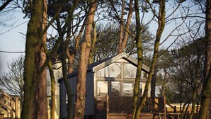 A small cabin with a large window, surrounded by trees and a grassy area.