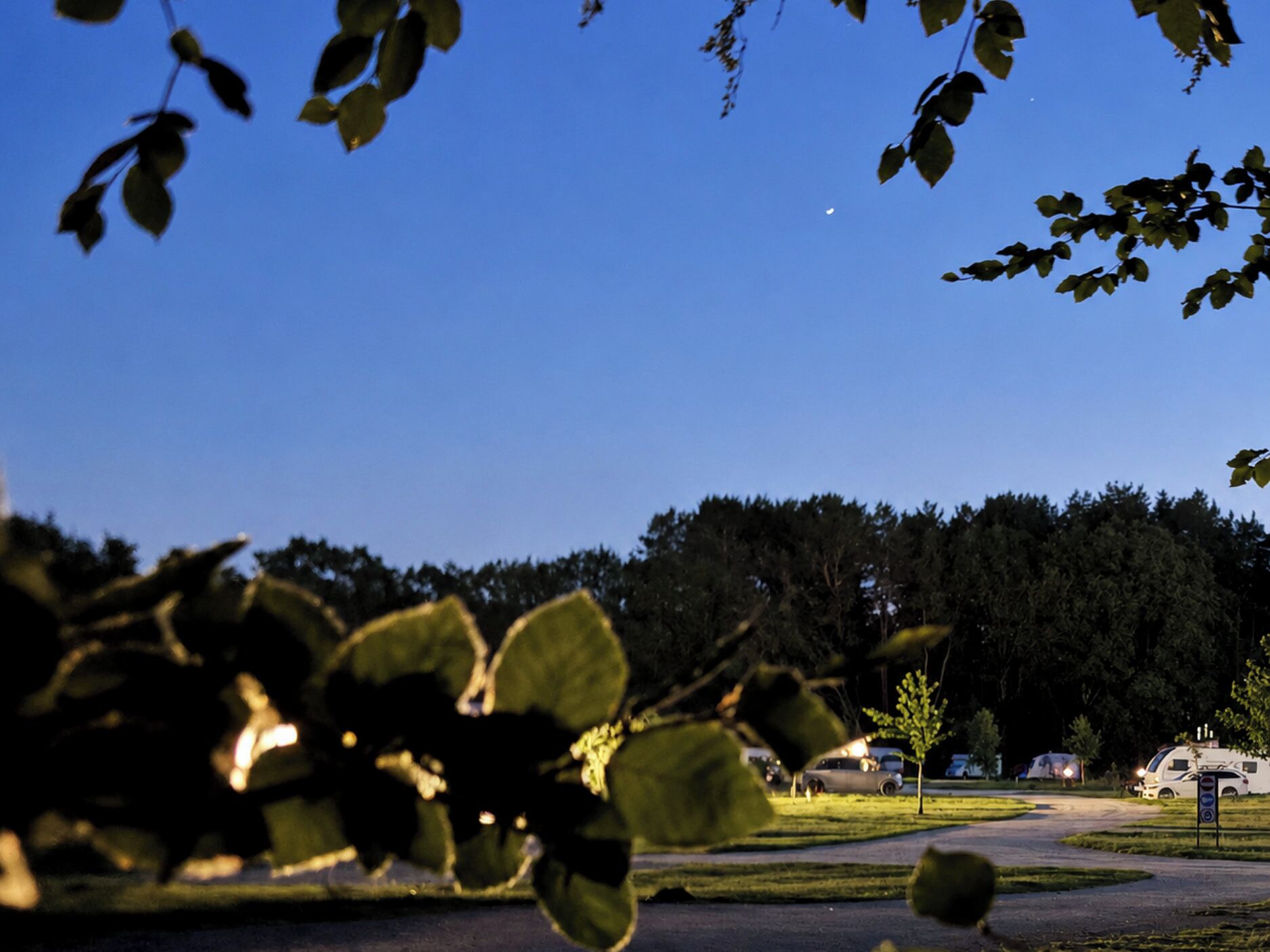 A campsite with RVs, a grassy area, and trees in the background.