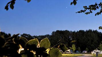 A campsite with RVs, a grassy area, and trees in the background.