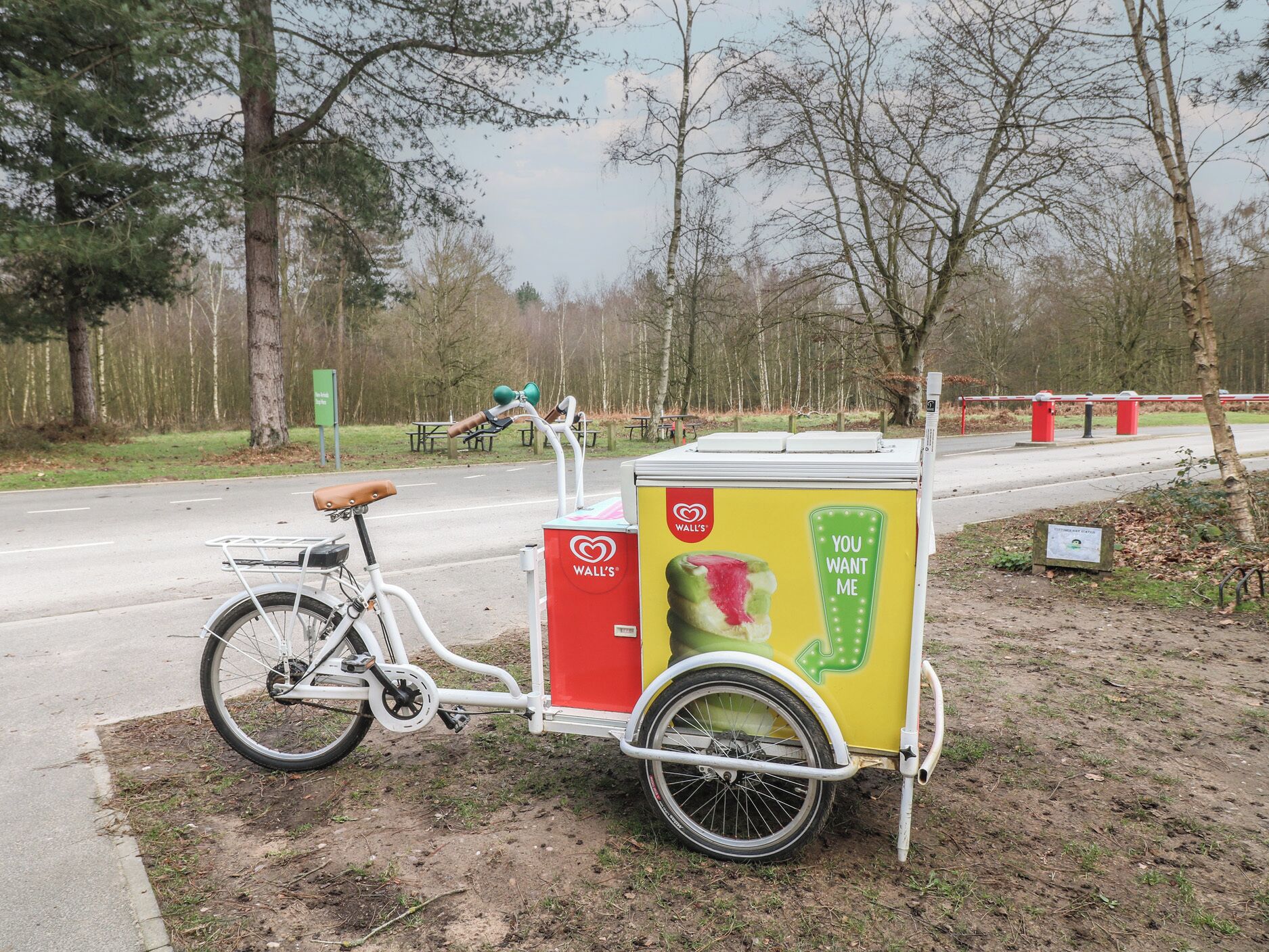 Un vélo avec une remorque attelée, garé au bord d’une route.