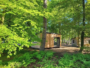 A forested area with wooden cabins, a dirt path, and ferns.