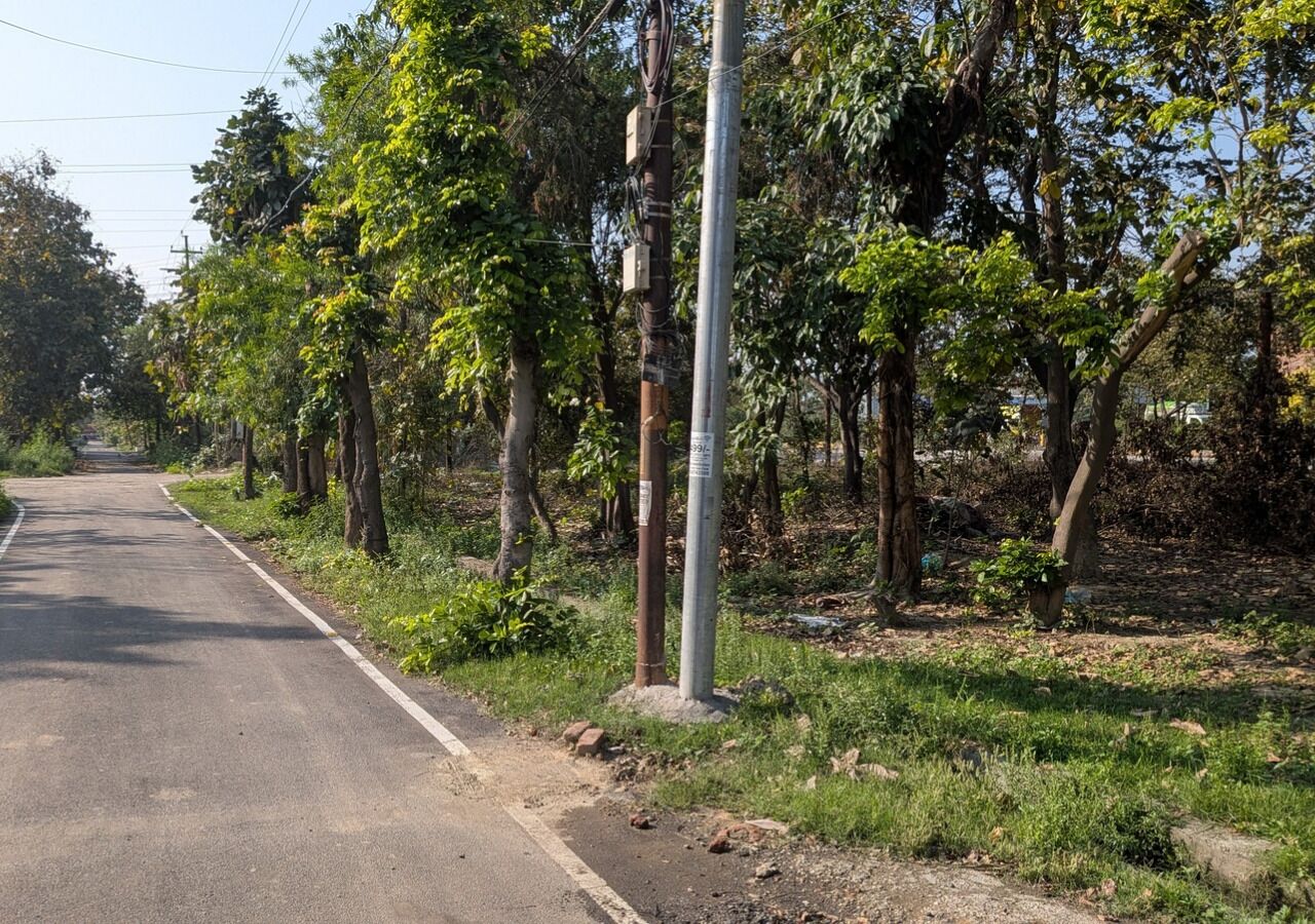 Una carretera bordeada de árboles y postes de electricidad.